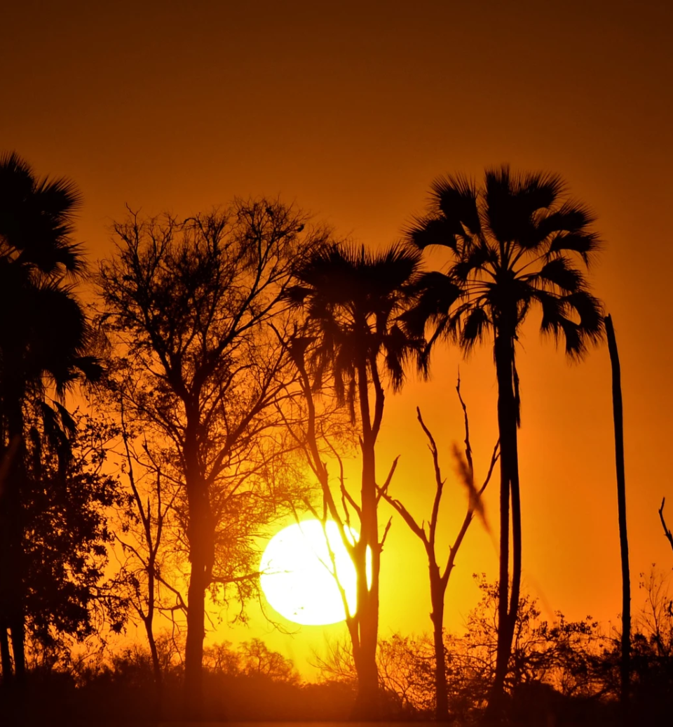 safari-botswana-itinerant-sunset-alexbotswana