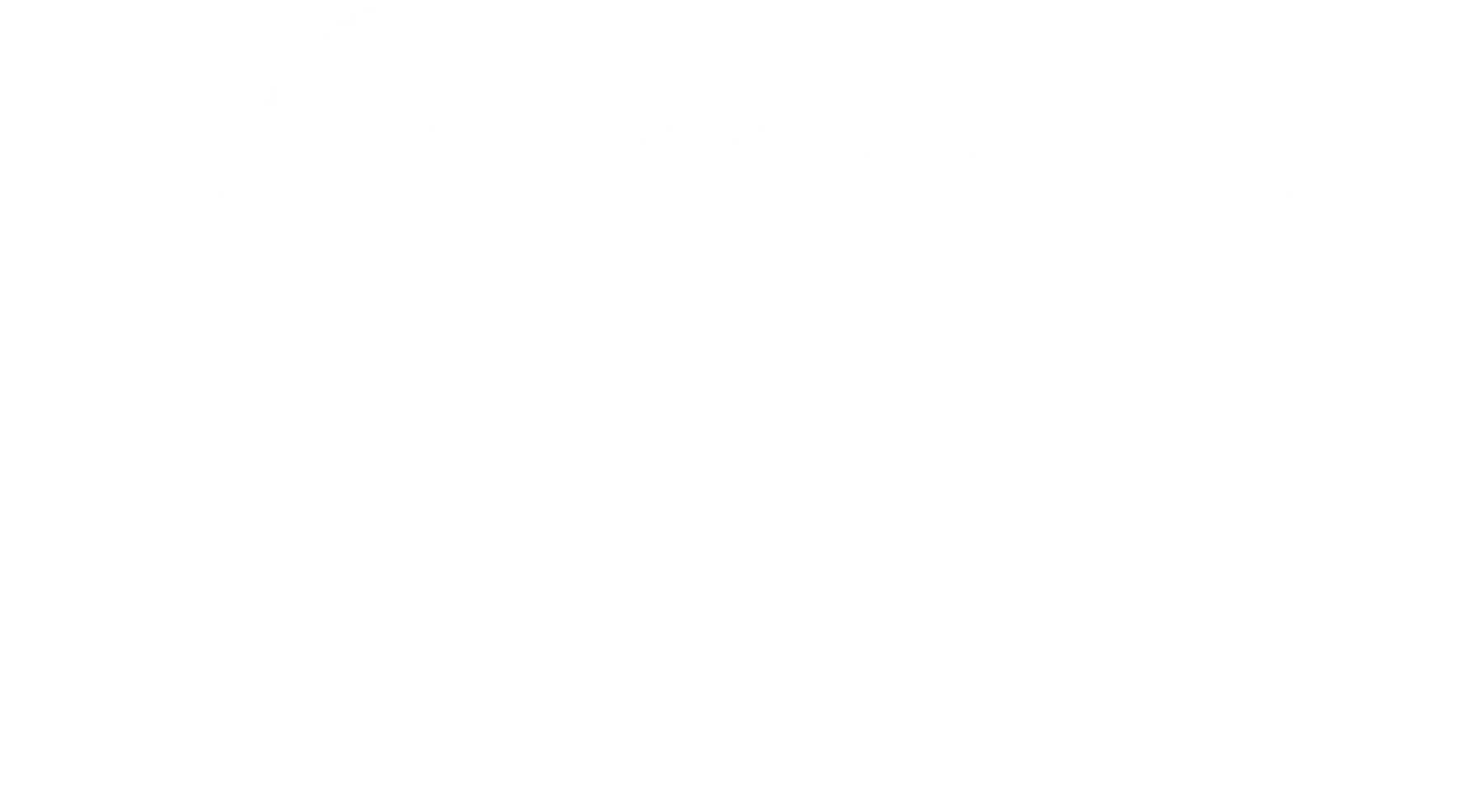 logo fanny hackl blanc